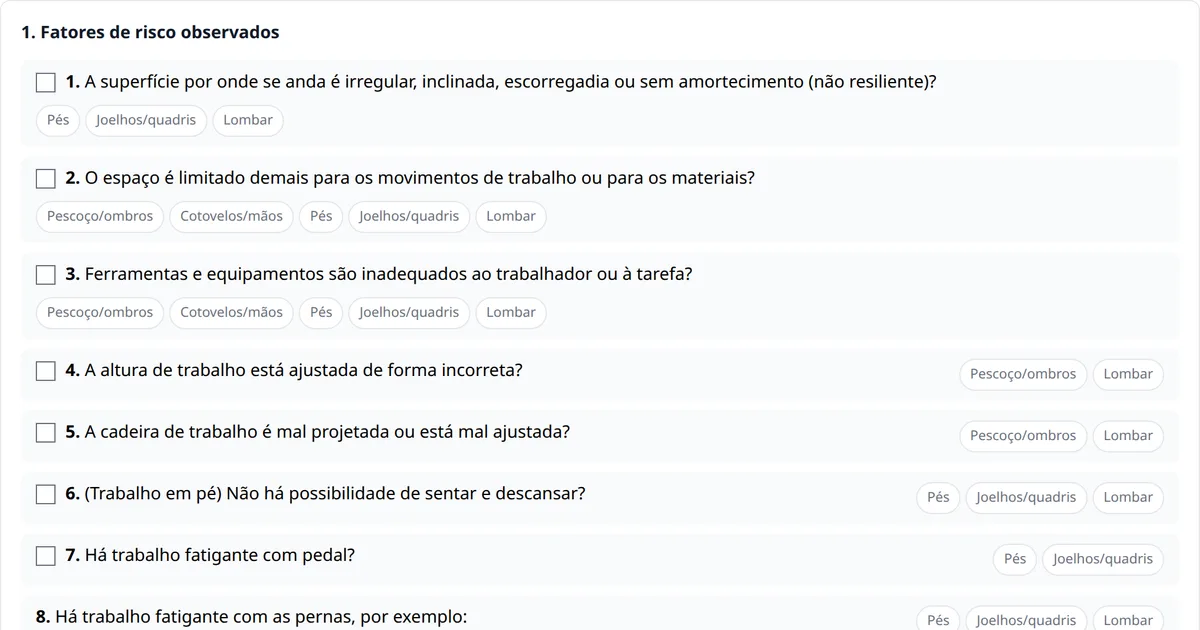 Formulário do método PLIBEL no MedNext (dados de demonstração)